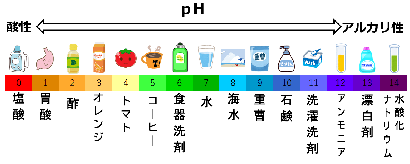 Ph とは